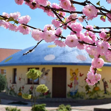 Demjeni Piramis Furdo Es Udulopark Otel Dış mekan fotoğraf