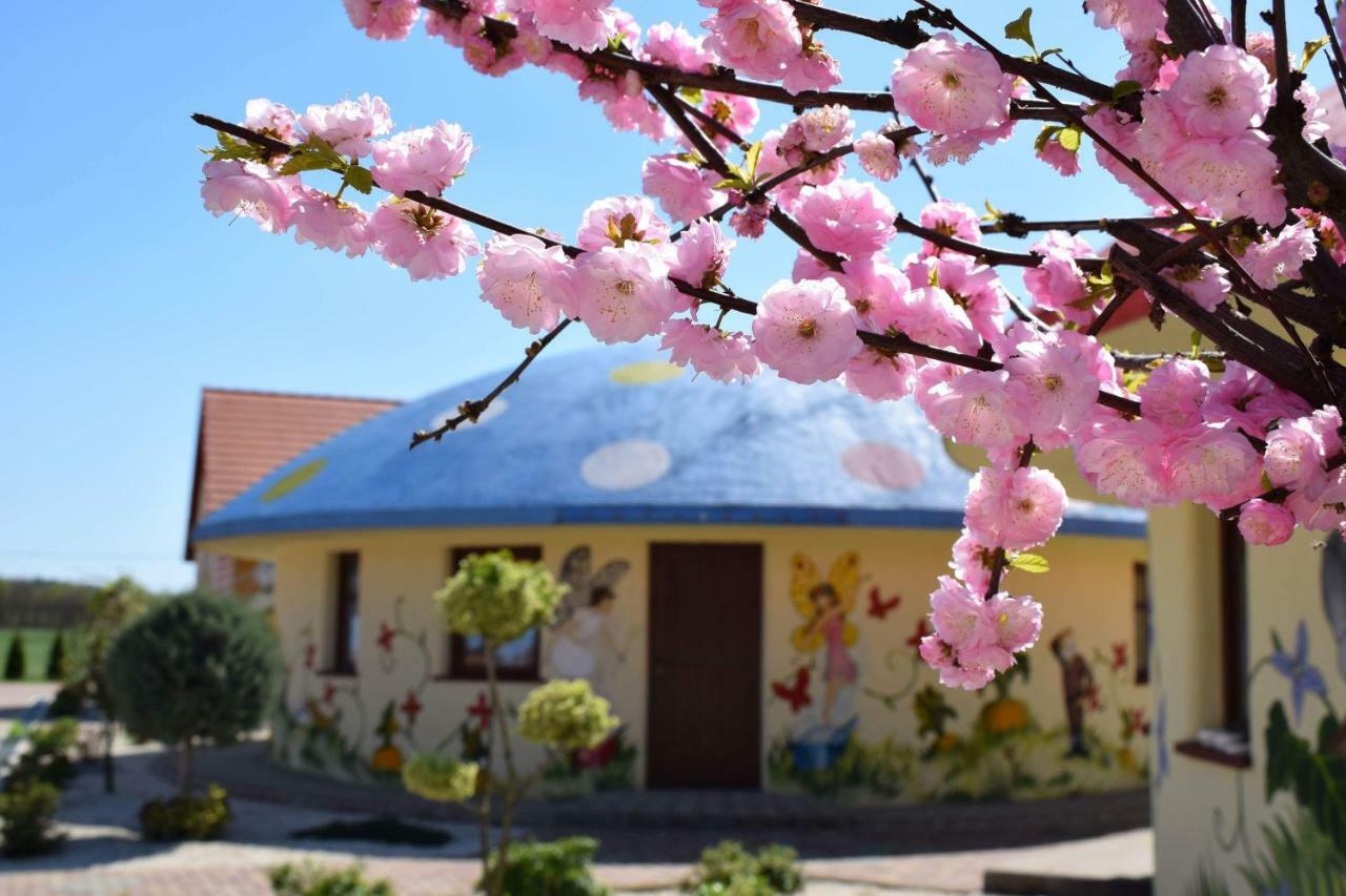 Demjeni Piramis Furdo Es Udulopark Otel Dış mekan fotoğraf